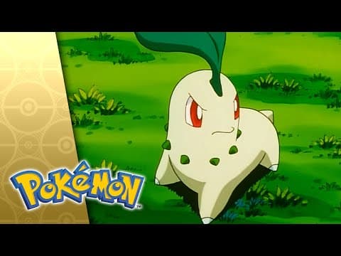 Chikorita Rescue!
