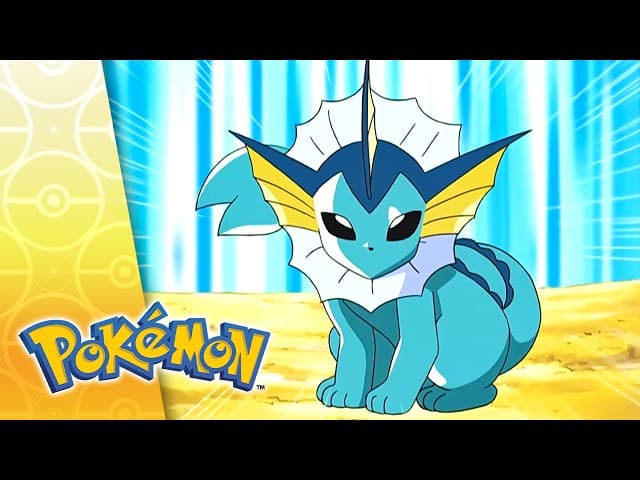 Weekend Warrior