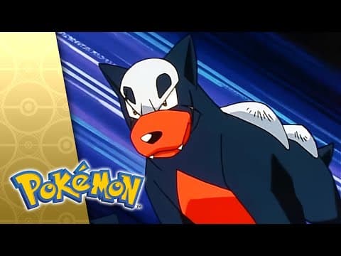 Hour Of The Houndour!