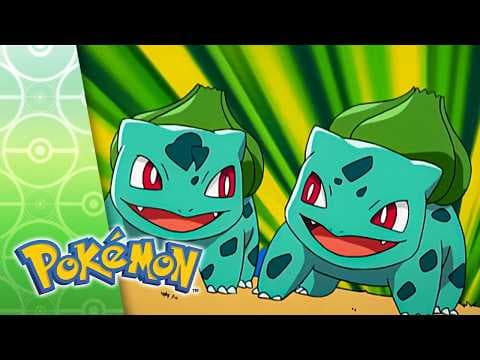 Hokey Pokéballs