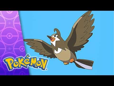 A Staravia Is Born!
