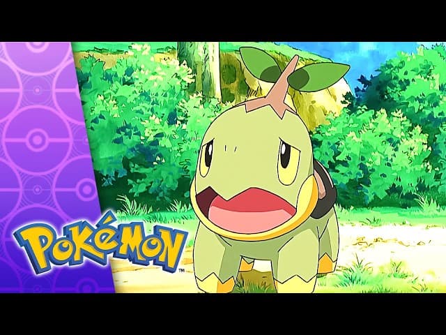 Goddag til Turtwig