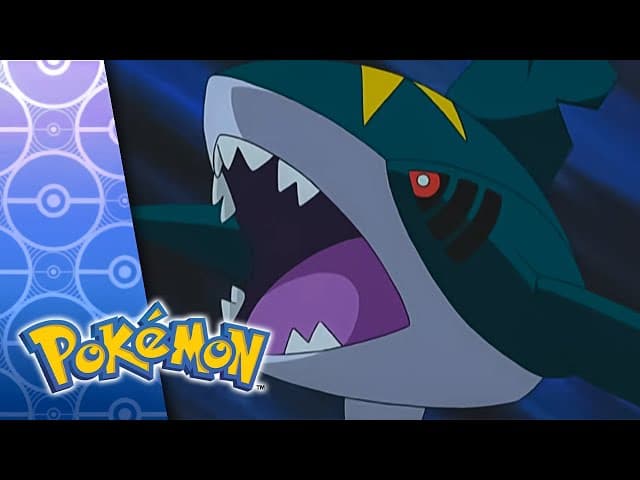Sharpedo al ataque