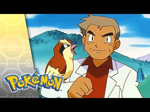 Will the Real Oak Please Stand Up?