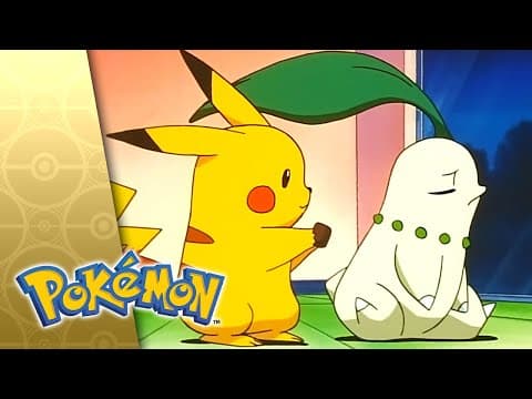 Chikorita's Big Upset!
