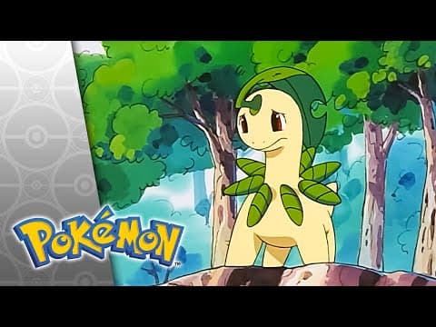 Los progresos de Bayleef