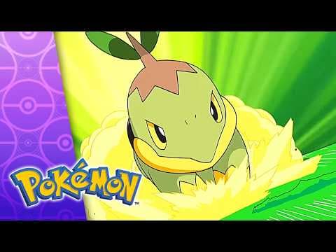 L'esperta di Pokémon d'Erba