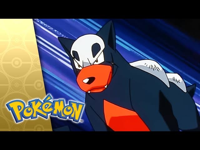 Hour Of The Houndour!