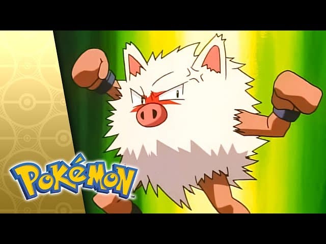 The Fortune Hunters!